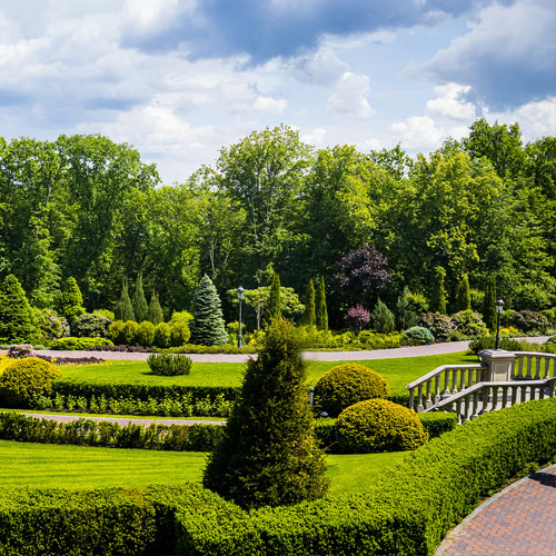 Design and landscape construction. <br>
      The ability to lay pavers, build retaining walls, pave driveways and other large areas, and construct pergolas and other structures.
