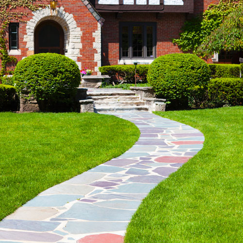 Domestic Landscaping.<br> 
      Making a garden or other piece of land more attractive by altering the existing design, adding ornamental features, and planting trees and shrubs.