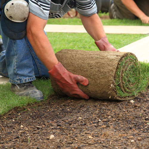 New garden design and construction. <br>
      Sketch out a vision of form, function and beauty for an otherwise lacklustre plot of land. Such designs usually incorporate hard landscaping, such as paths and walls, as well as soft landscaping, such as shrubs and flower beds, that together create a space that delights and inspires.