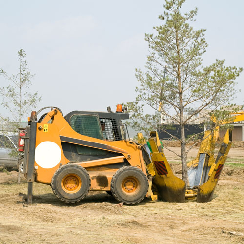 Tree Planting. <br> 
      Trees contribute to their environment over long periods of time by providing oxygen, improving air quality, climate amelioration, conserving water, preserving soil, and supporting wildlife.
